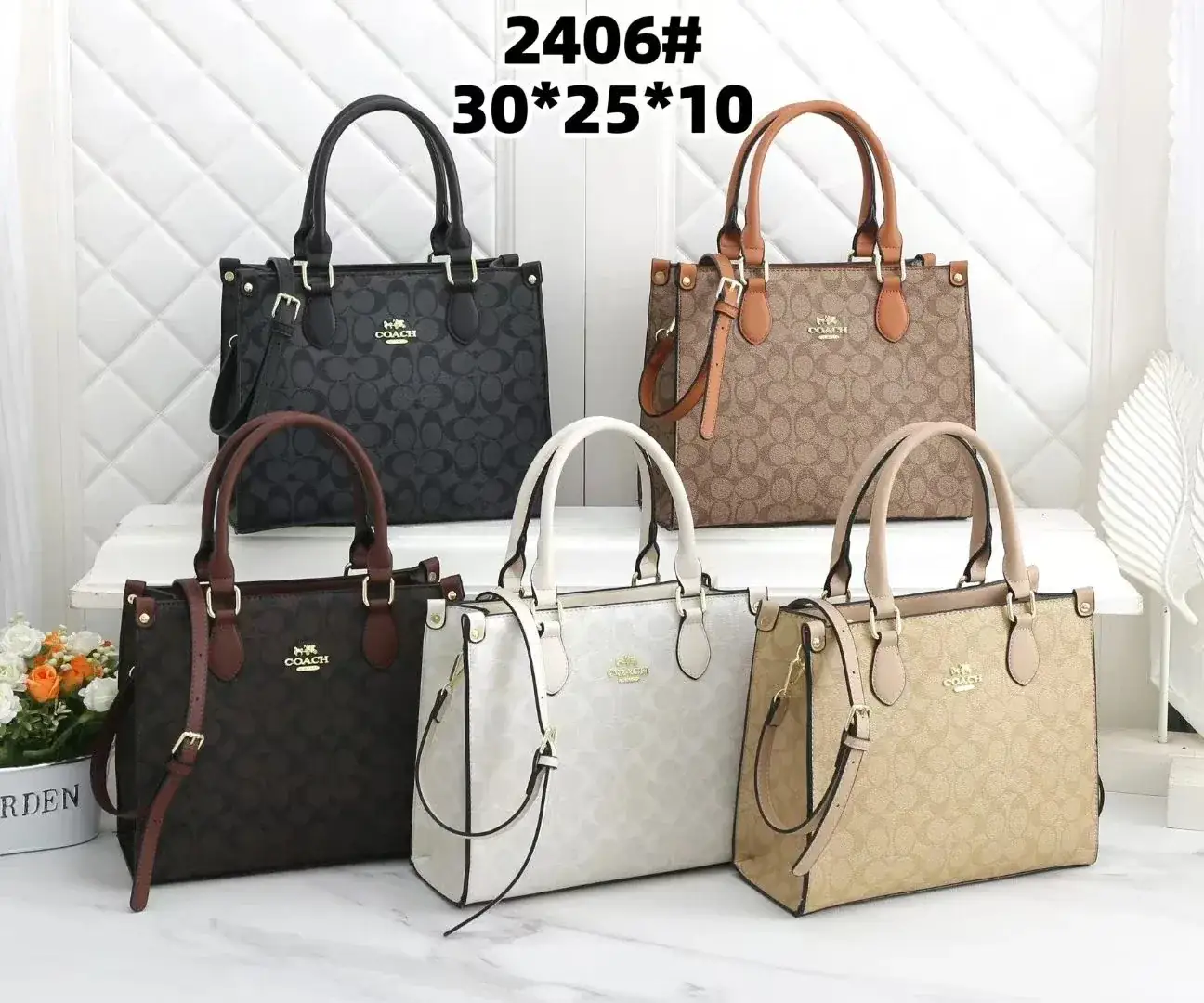 Coach Classic Signature Tote Bag