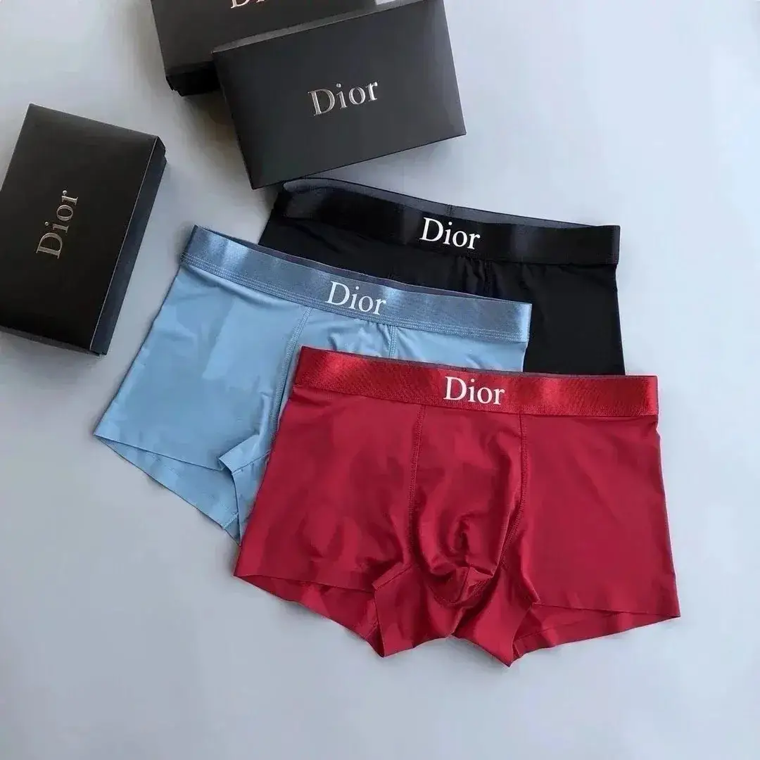 Dior Logo Waistband Boxer Briefs