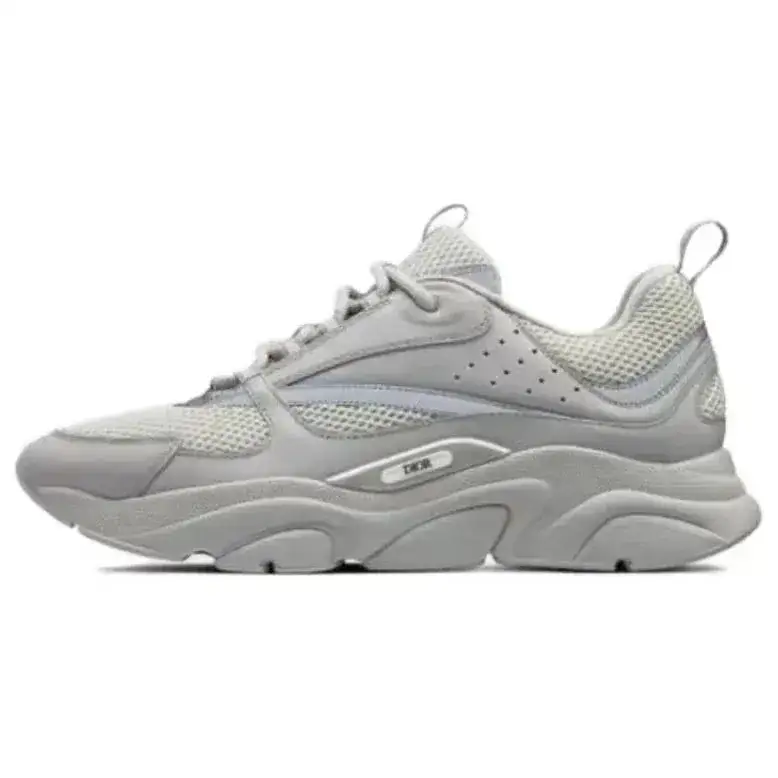 Dior B22 Gray