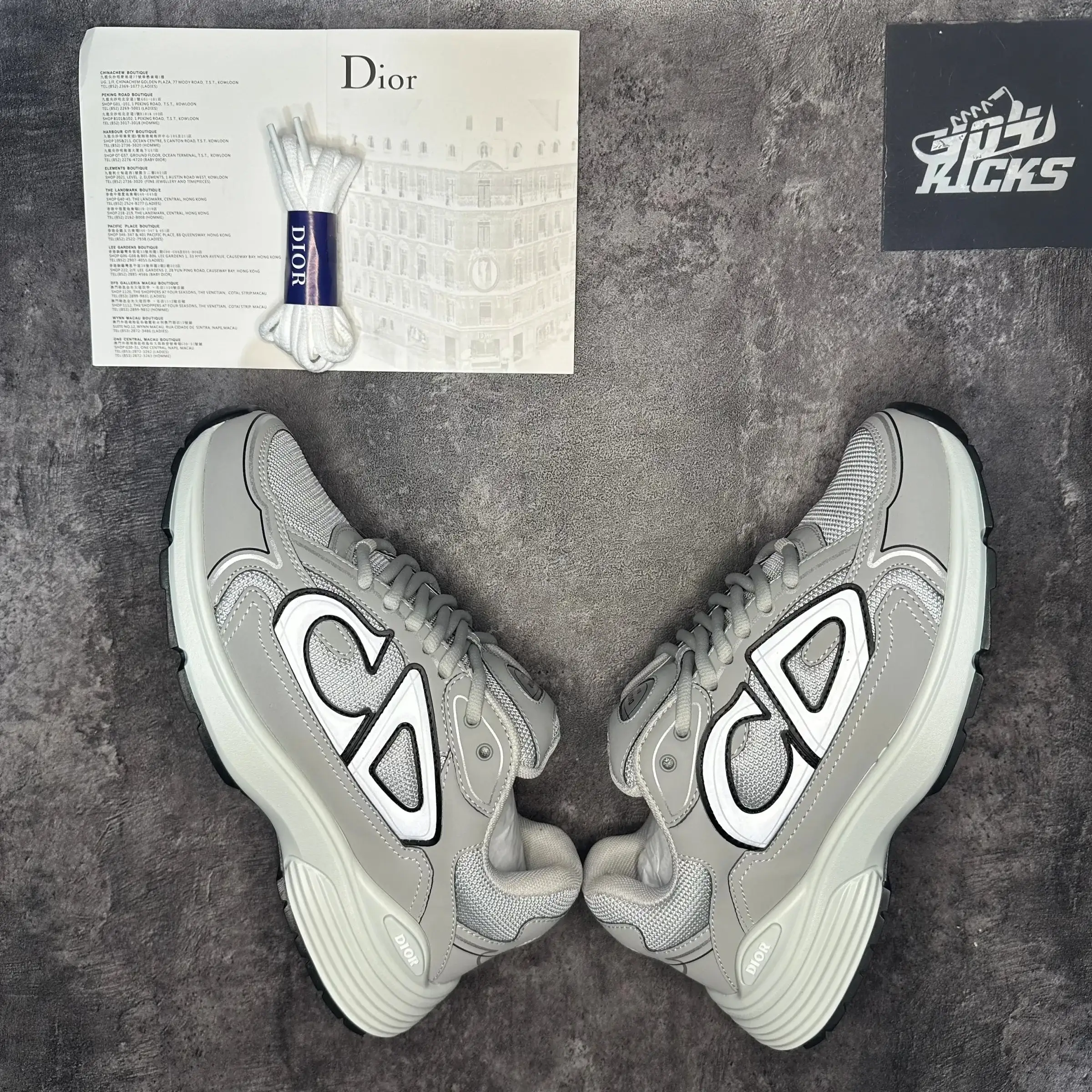 Dior B30 Sneaker Light Grey White
