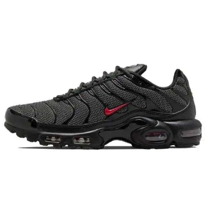 Nike Air Max Plus Bred Metal Mesh