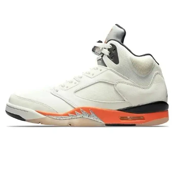Air Jordan 5 Retro Shattered Backboard