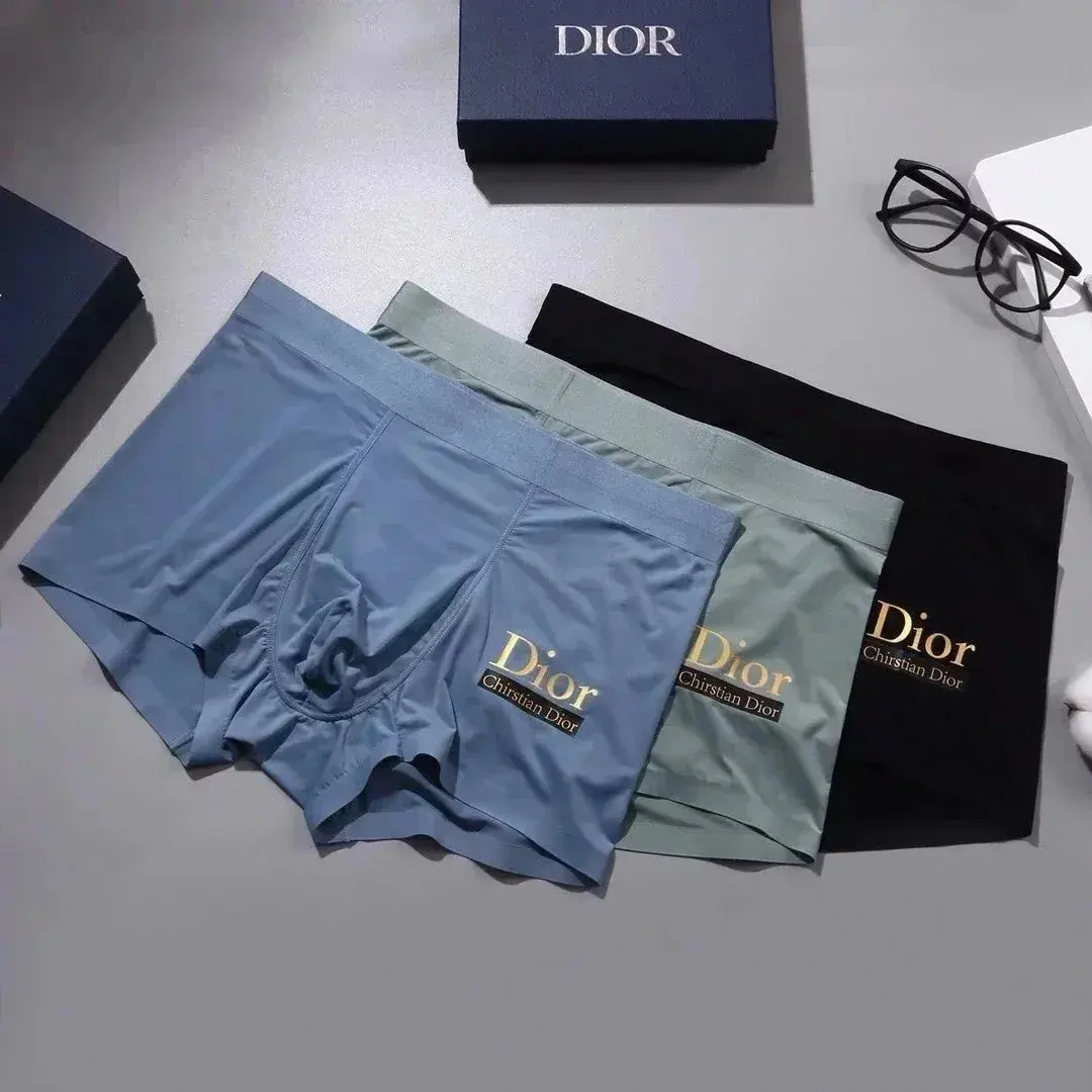 Dior Logo Boxer Briefs