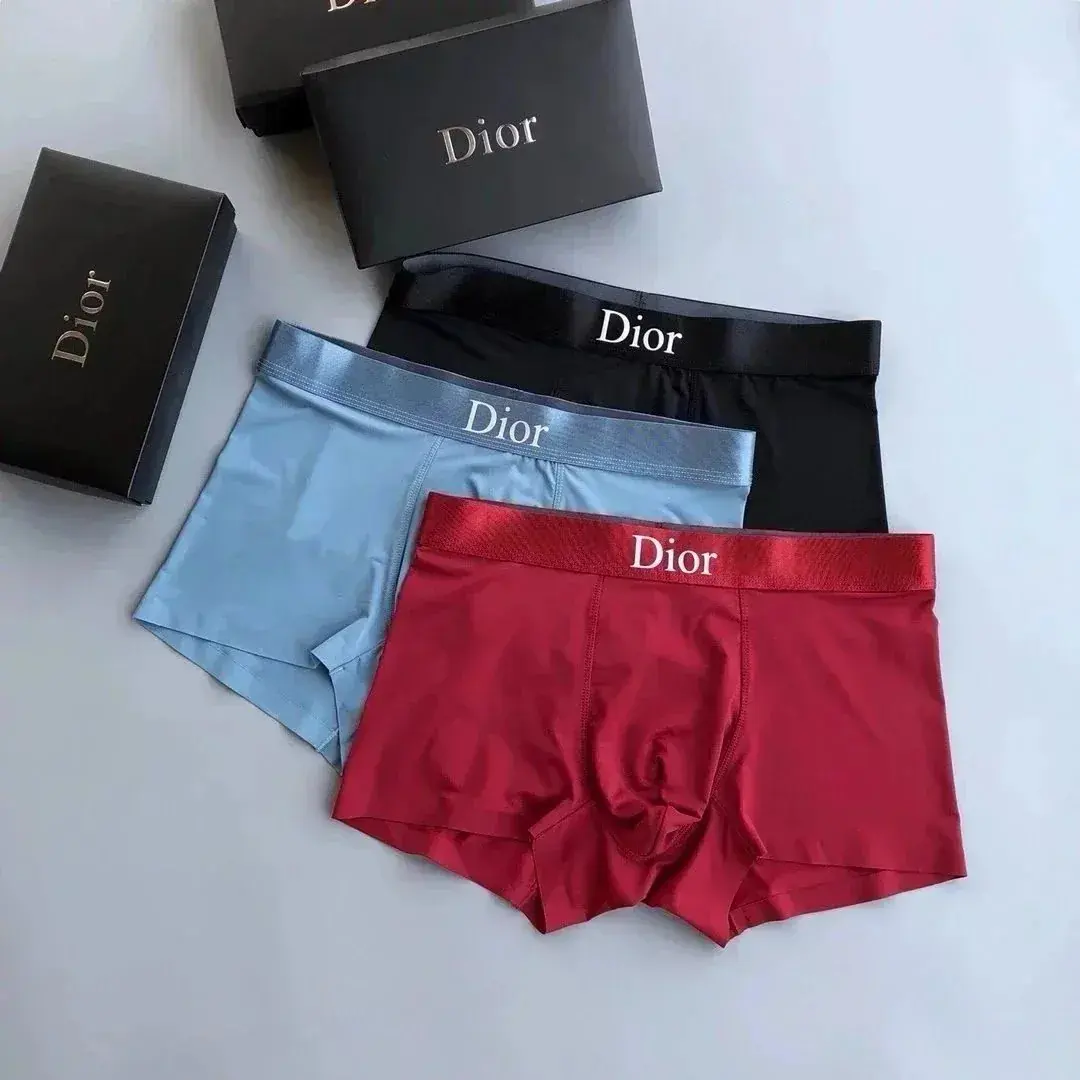 Dior Logo Waistband Boxer Briefs