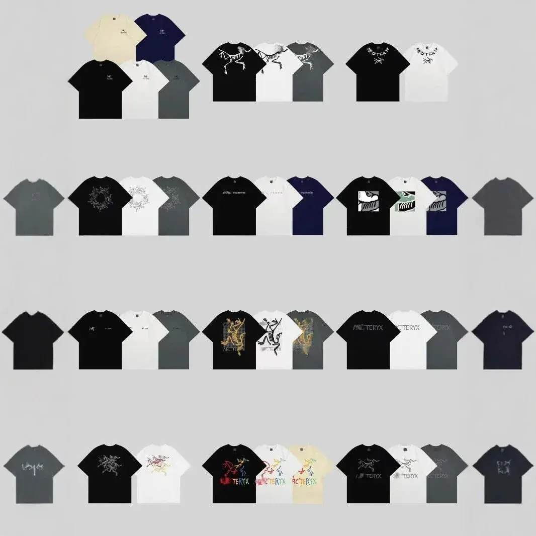 Arc'teryx Casual T-Shirt