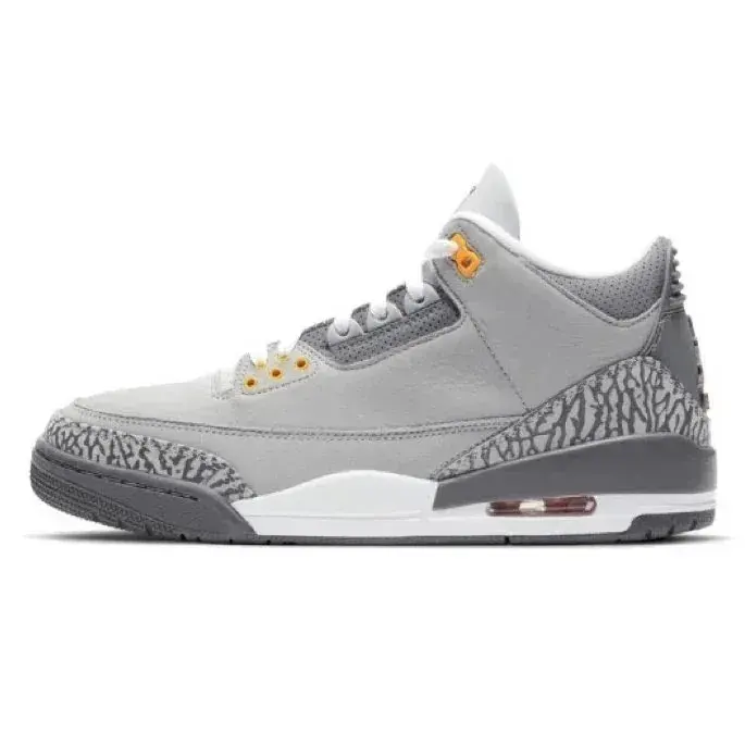 Air Jordan 3 Retro Cool Grey