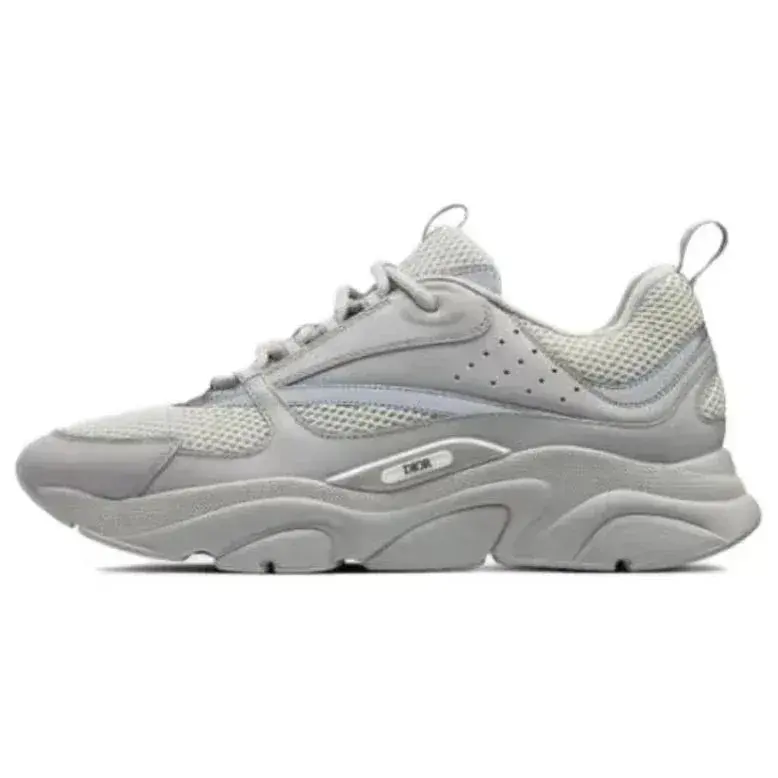 Dior B22 Gray