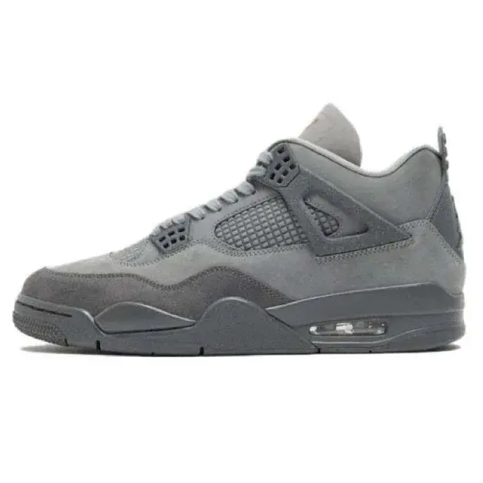 Air Jordan 4 Cool Grey