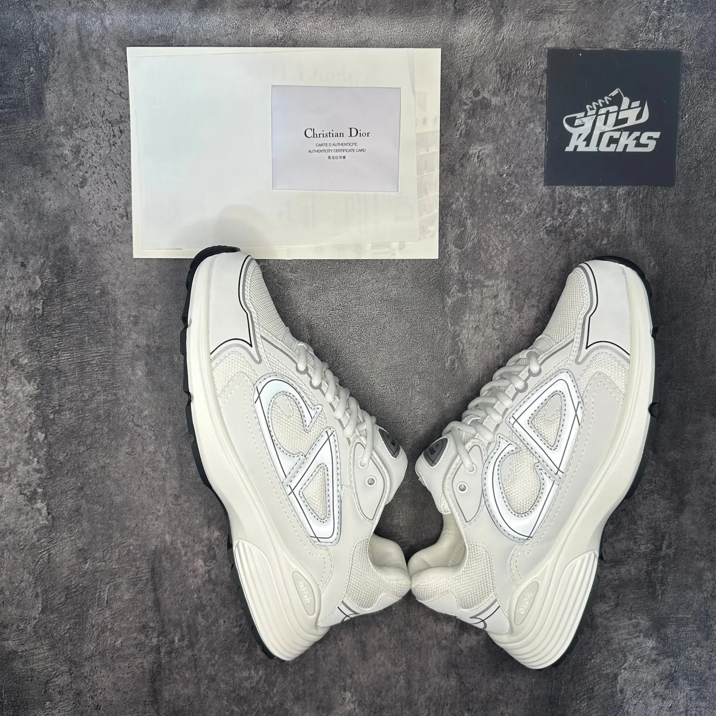 Dior B30 White