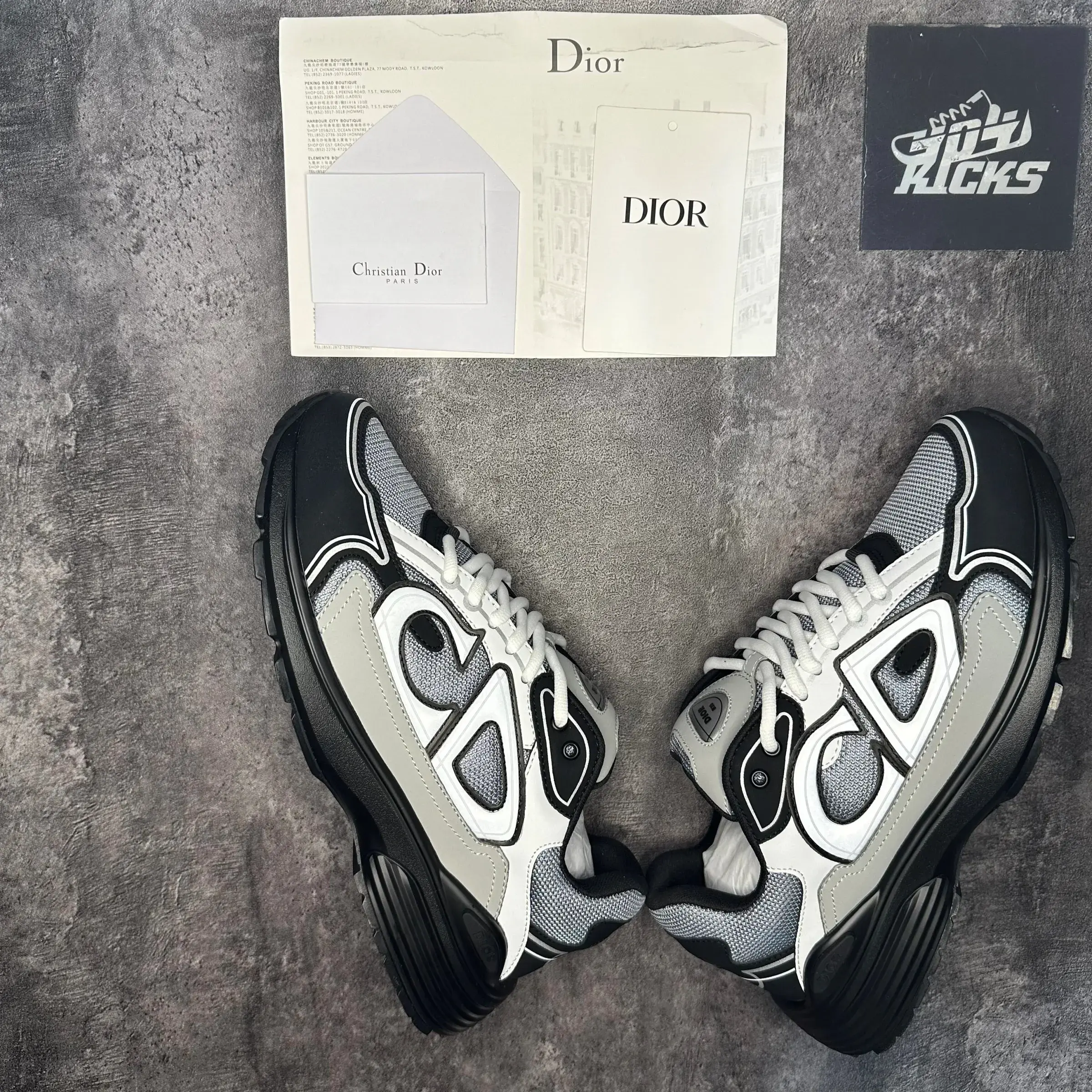 Dior B30 Black White