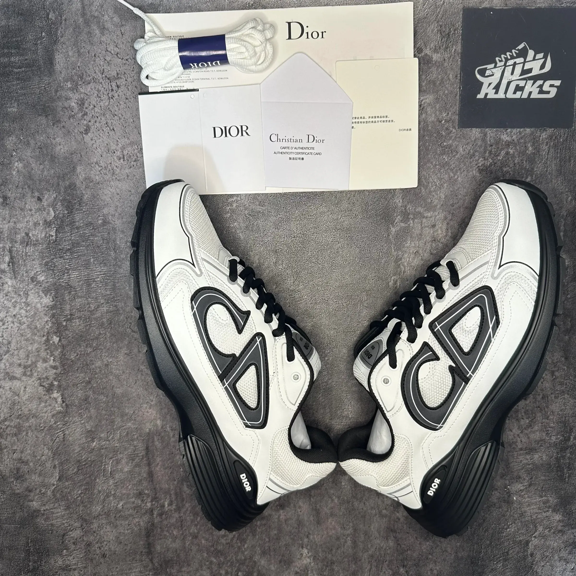 Dior B30 White Black