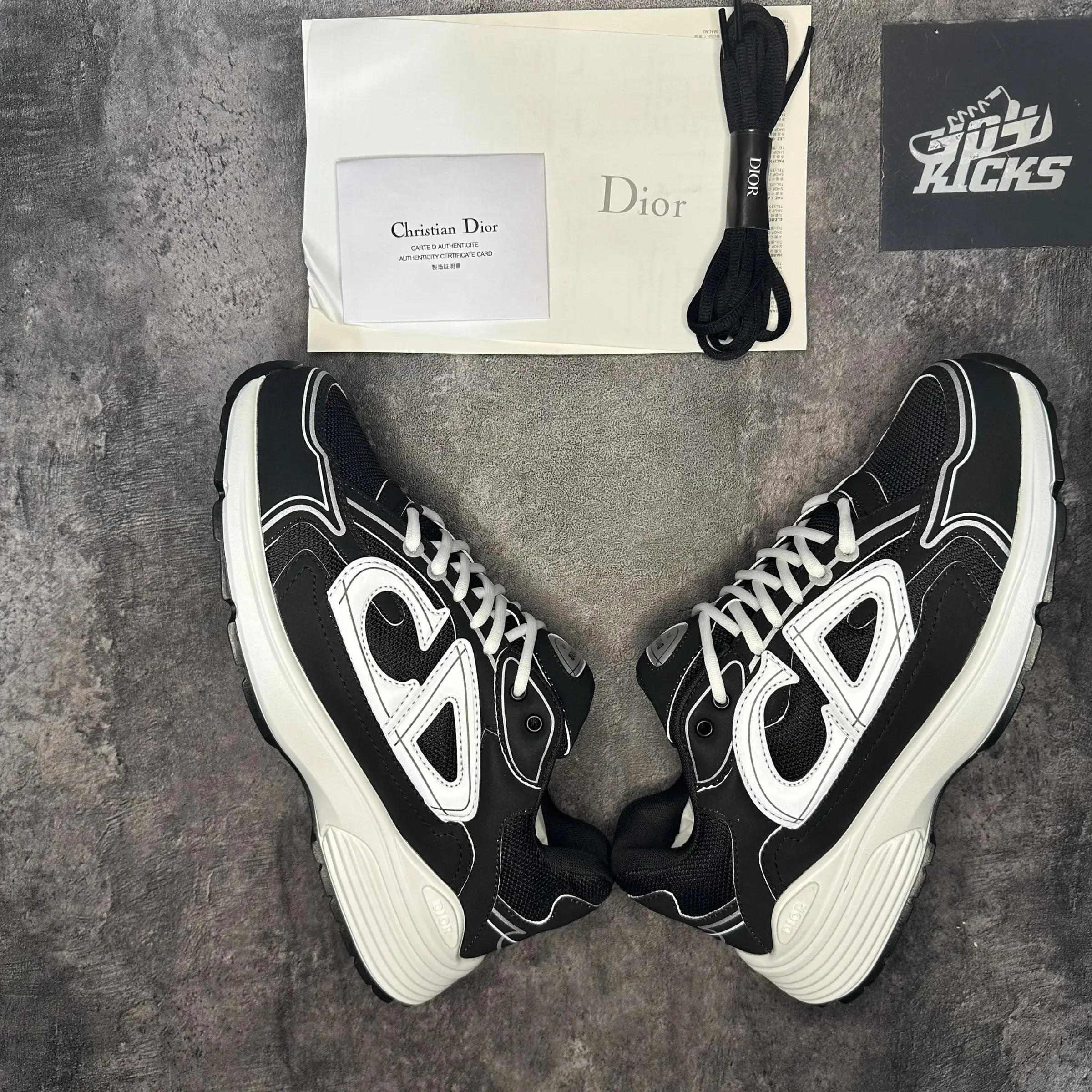 Dior B30 Sneaker Black White