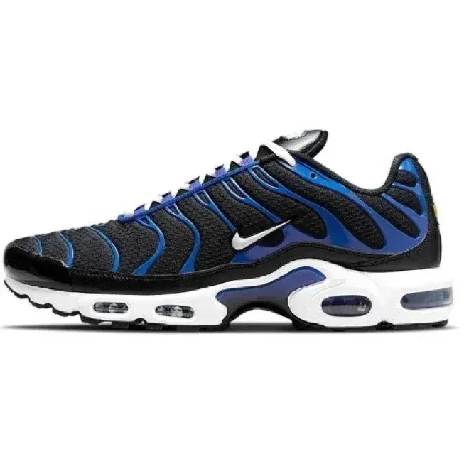 Nike Air Max Plus Black Royal
