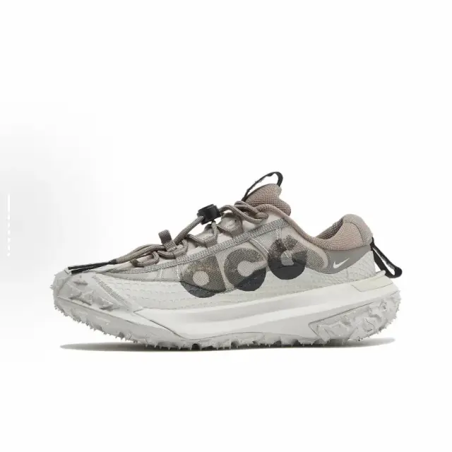 Nike ACG Mountain Fly 2 Low Pale Gray
