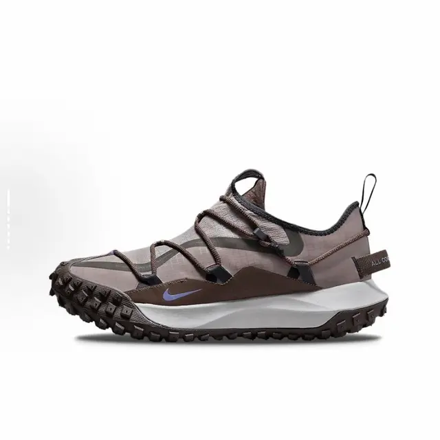 Nike ACG Mountain Fly 2 Low Baroque Brown