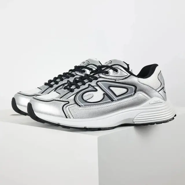 Dior B30 Sneaker Silver
