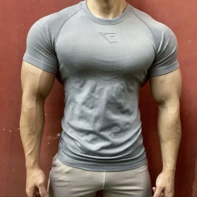 Gymshark Seamless T-Shirt 'Grey'