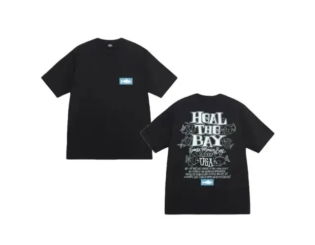 Stussy Heal The Bay Tee Black