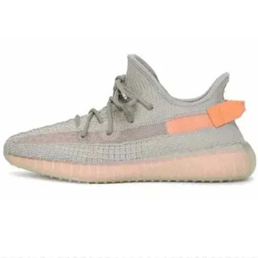 adidas Yeezy Boost 350 V2 True Form