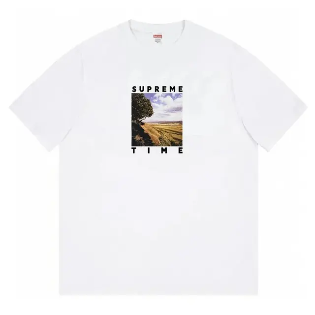 White 11