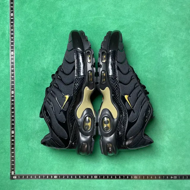 No. 5 Black Gold 852630 001