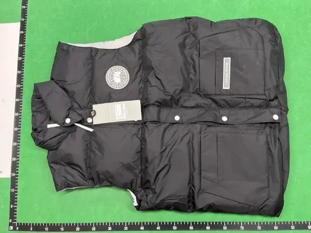 Designer Puffer Jackets