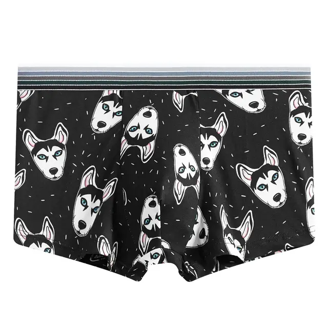 Cartoon Print Boxer Briefs