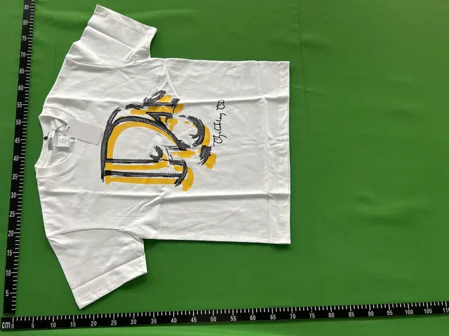 Dior Framed Logo T-Shirt Black — QC photos