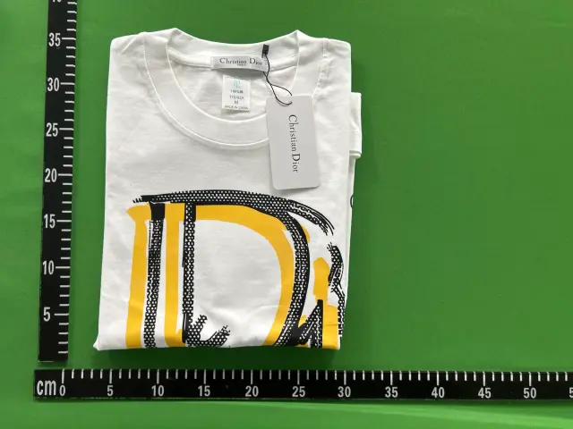 Dior Framed Logo T-Shirt Black — QC photos