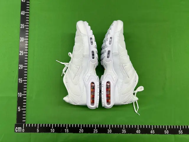 Nike Air Max Plus — fotos QC