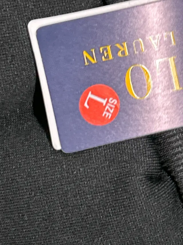 Polo Ralph Lauren Pony Logo Zip-Up Hoodie Black — fotos QC