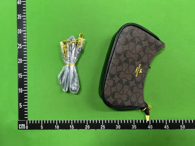 Coach Signature Canvas Handbags — QC photos